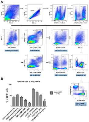Cytokine production in an ex vivo model of SARS-CoV-2 lung infection